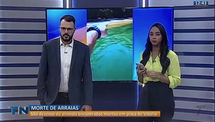 Dezenas de arraias aparecem mortas em praia de Vitória