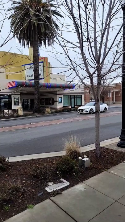 Everyone Struggles With Road Rage Sometimes