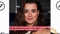 Coté de Pablo, de 'NCIS': datos curiosos sobre la actriz que encarna a Ziva