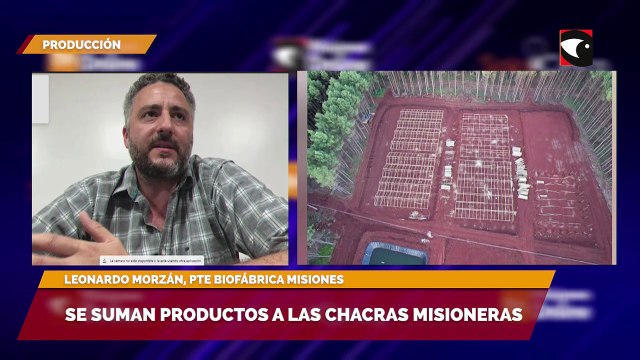 SALA CINCO - Se suman productos a las chacras misioneras