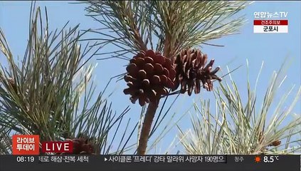 [날씨] 오늘 온화하고 중부 비 조금…건조특보 계속