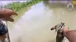 BBC INSIGHT: Baby kangaroo saved from crocodile attack