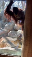 Amber Is Curious About The Items In Your Backpack