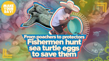 Fishermen hunt sea turtle eggs to save them| Make Your Day