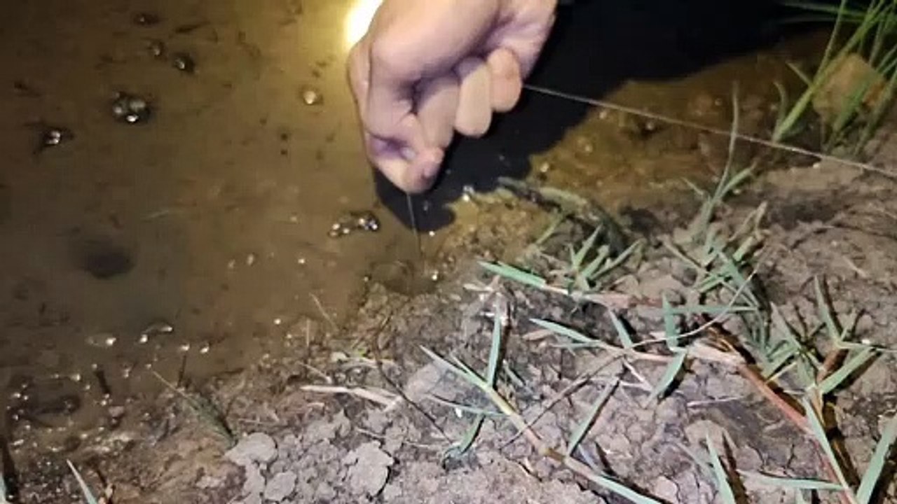 Fishing ell night