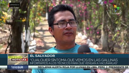 El Salvador: Autoridades y granjeros ponen en marcha un plan preventivo contra la gripe aviar