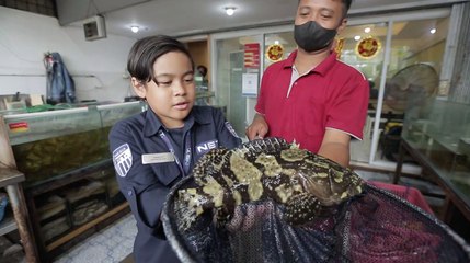 Adhiyat Cobain Seafood Viral di Little Bahari!