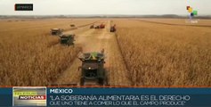 Campesinos y Gobierno mexicanos defienden maíz natural ante el transgénico