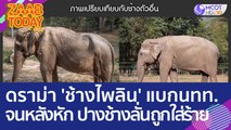 ดราม่าเดือด 'ช้างไพลิน' แบกนทท. จนหลังหัก ปางช้างลั่นถูกใส่ร้าย (14 มี.ค. 66) แซ่บทูเดย์