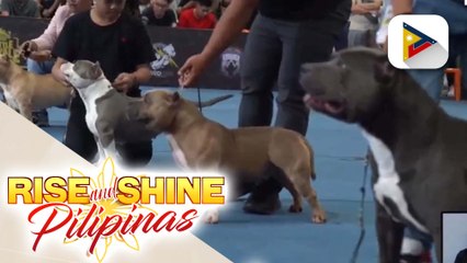 Silipin ang pagbabalik ngayong taon ng Bully Fest