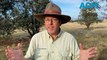 Tim the Yowie Man goes bushwalking through the Dunlop Grasslands Nature Reserve near Canberra
