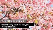 Record early start for Tokyo's cherry blossoms