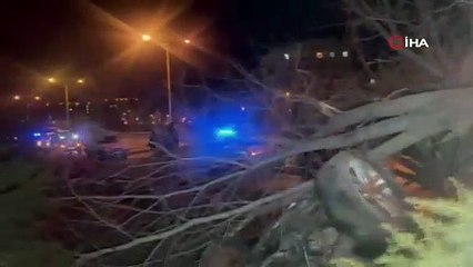 Nevşehir’de kontrolden çıkan araç ağaca çarptı: 1 yaralı