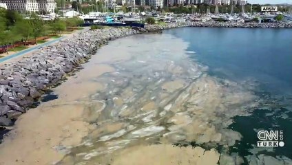 Marmara’nın derininde deniz salyası tehlikesi