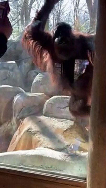 Amber Is Curious About The Items In Your Backpack