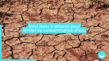 Cinq astuces pour économiser l'eau au quotidien