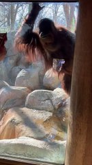 Amber Is Curious About The Items In Your Backpack