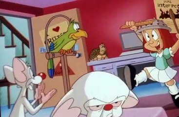Pinky, Elmyra & the Brain Pinky, Elmyra & the Brain E021 Mr. Doctor