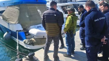 'Akdeniz Foku' tekneye sığındı
