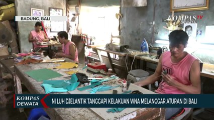 Niluh Djelantik Tanggapi WNA Nakal Di Bali