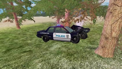 PIT Maneuver Gone Wrong #shorts