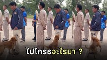 นุดหัวจะปวด ยืนเข้าแถวเจอมารผจญ เจ้ากรรมนายเวรในรูปแบบสัตว์โดยแท้