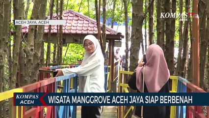 Wisata Mangrove Aceh Jaya Siap Berbenah Demi Menarik Wisatawan