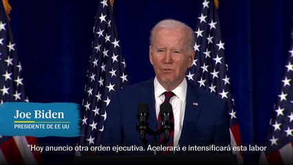 Joe Biden: "Es de sentido común comprobar si alguien es un delincuente antes de que compre un arma"