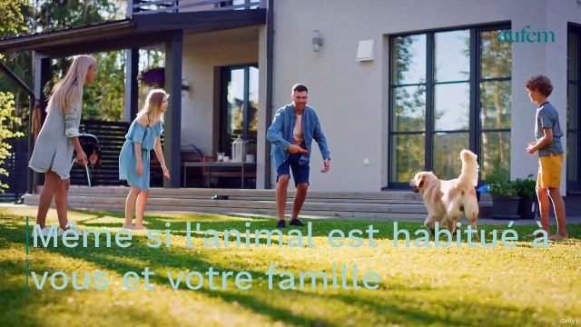 Deux enfants attaqués par un chien, l'un deux a été grièvement mordu