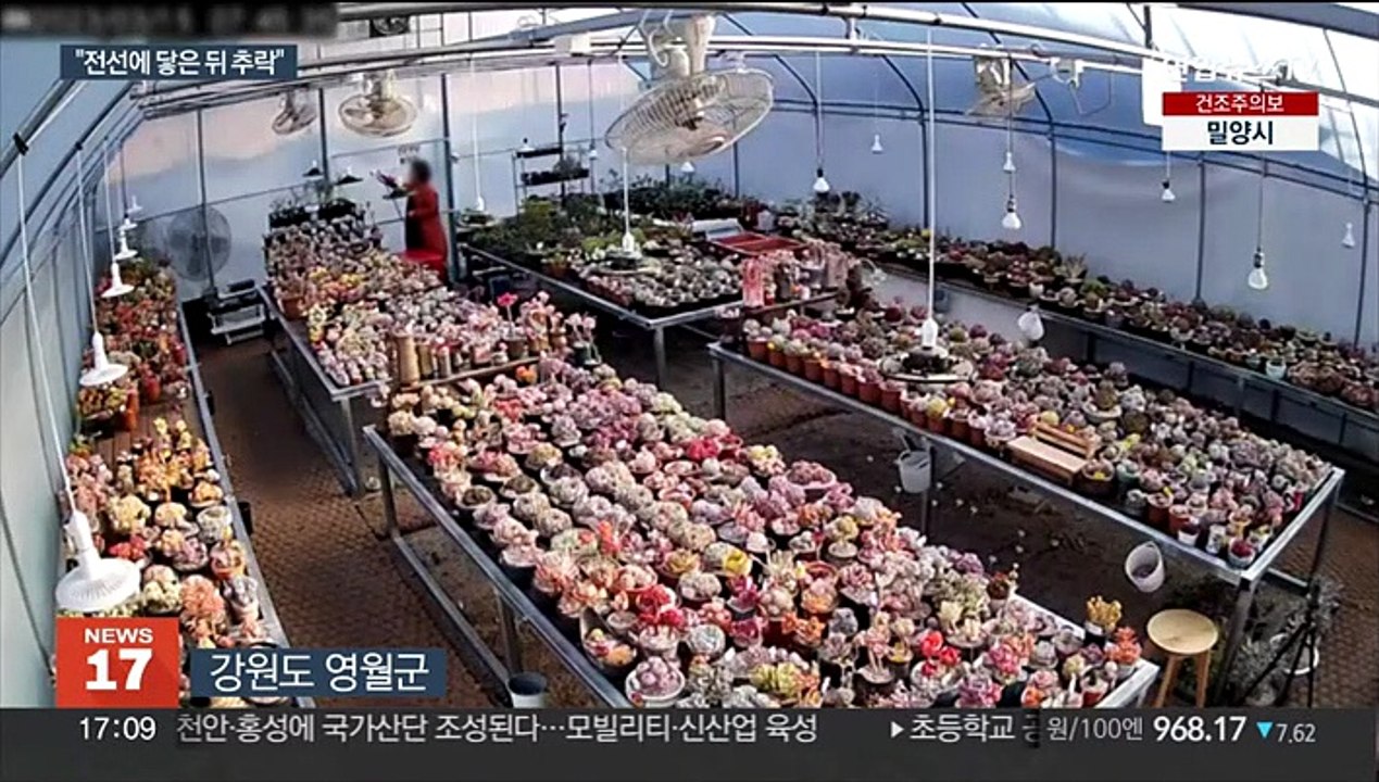 송전탑 보수하던 헬기 추락…탑승자 2명 사망