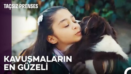 Download Video: Masal ve Köfte Kavuştu! - Taçsız Prenses 6. Bölüm