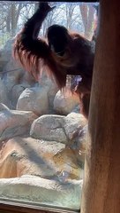 Amber Is Curious About The Items In Your Backpack