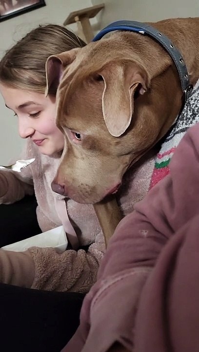 Dog Snuggles Like A Cat