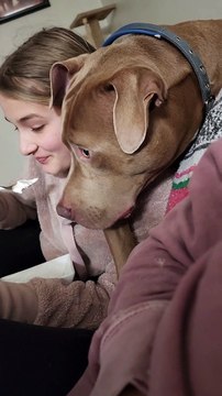 Dog Snuggles Like A Cat