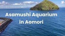 Asamushi Aquarium in Aomori