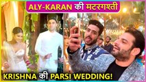 Aly Goni & Karan Patel Funny Moments At Krishna Mukherjee's Wedding | Inside Videos