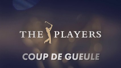 Les coups de coeur, les coups de gueules, les coups de génies, de nos consultants Thomas Levet et Jean Van De Velde