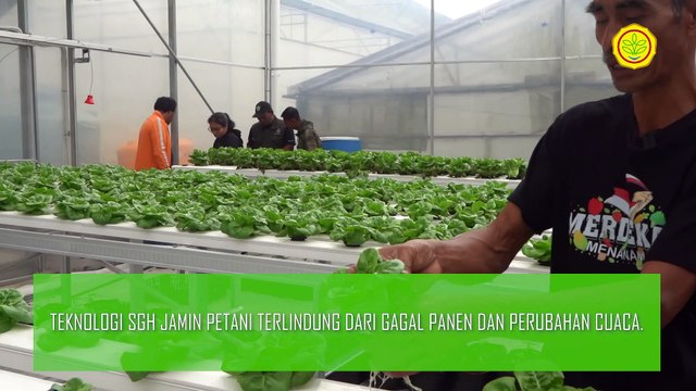 Program Petani Milenial Kembangkan Agrowisata Melalui Smart Green House