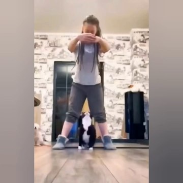 funny animals videos 2023 - funny animals videos try not to laugh .