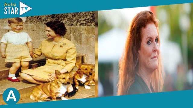 Elizabeth II : Je les... , Sarah Ferguson donne des nouvelles des corgis de la reine