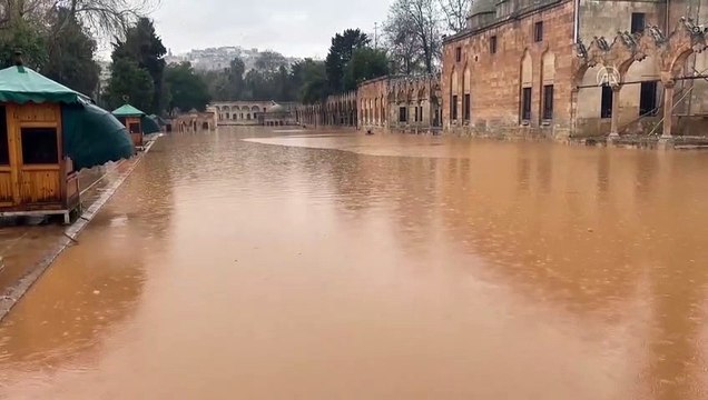 Şanlıurfa'da sağanak yağmurun ardından Balıklıgöl taştı