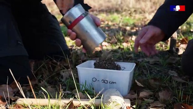 Que faire pour nos forêts ?