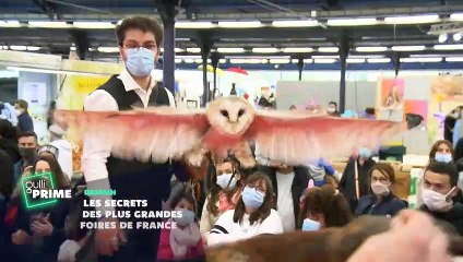 Les secrets des plus grandes foires de France - 15 mars