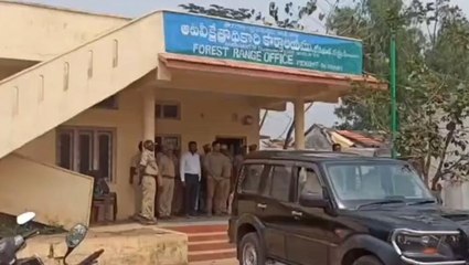 ఆసిఫాబాద్: జిల్లాలో ముగ్గురు అటవీశాఖ అధికారుల సస్పెన్షన్