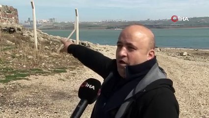 İstanbul'da kabus gibi manzara! Balıklar gitti, koyunlar geldi