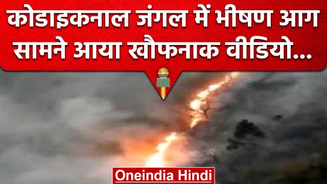 Tamilnadu के Kodaikanal Forest में भीषण Fire, Social Media पर Video Viral | वनइंडिया हिंदी #shorts
