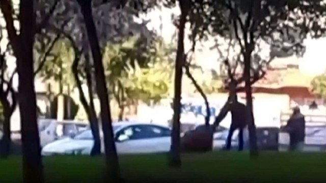 Yılkı atına eziyet e 4 bin 554 TL para cezası