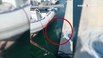 Didim'de marinada görevlilerce cep telefonu kameralarıyla görüntülendi! Tekneden atlayarak denizde kayboldu