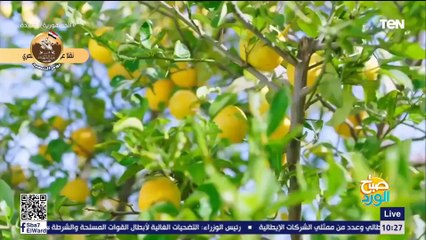خطوة كبيرة لتحقيق الاكتفاء الذاتي من انتاج الاسمدة..كل ما تريد معرفته عن مجمع مصانع الأسمدة الأزوتية