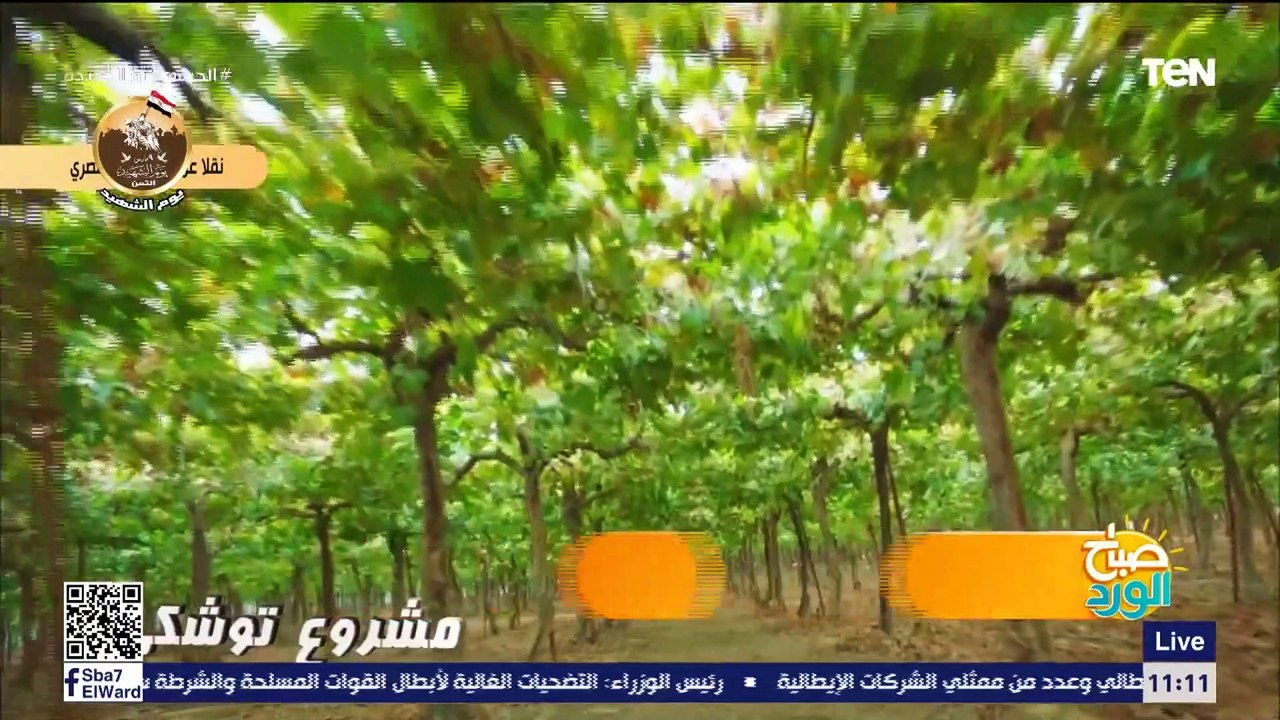 الرئيس السيسي يشهد فيلماً تسجيلياً بعنوان "أرض الخير"